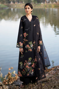 BLACK ORCHID
