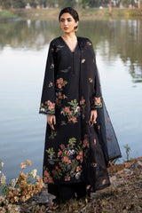Black Orchid