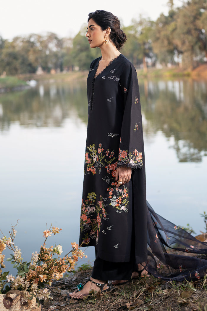 BLACK ORCHID