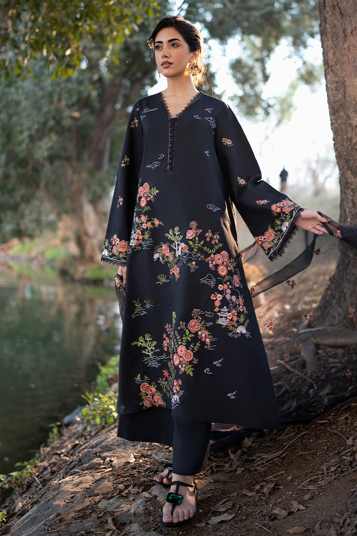 Black Orchid